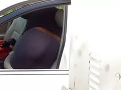 회색 스타킹 고양이 워시 엉덩이 아치