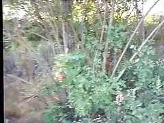 외부 자연 병아리