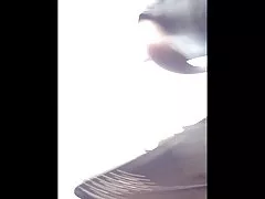 중국 흑인꼬추 편집