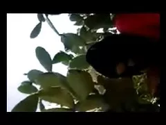 튀니스에서 아랍 qahba