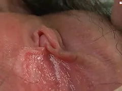 털이 솔로 아시아 체약국 및 웨트