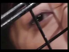 수 및 caged 아시아권