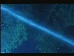 "Crouching tiger,hidden 음경