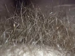 마찰 그녀의 털이 음부에 따라 포괄합니다.