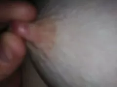 재생 가능 니쁠과 털이 Bush.