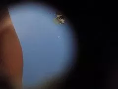 숨겨진된 캠 풀 5