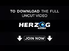 헤르조그영상 털골 포르노