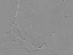 아시아 소녀 카메라 음모 문신에