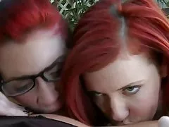 두 개의 빨간색과 빌어 먹을 금발