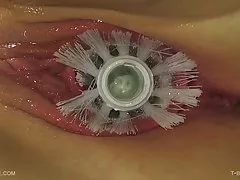 t 브러쉬-옥-queensnake.com-queensect.com