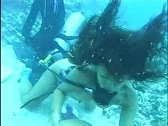 수 중 천국 써니에 의해 4