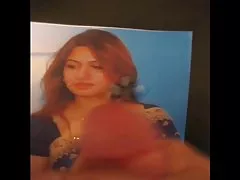 Gman 우등에 인도 섹시한 소녀에서 사리(찬사)