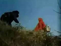 에 littel red chaperone