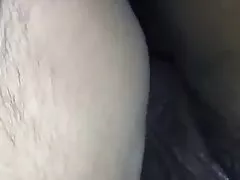 교육 젊은 두꺼운 백색 소녀 같은 우등