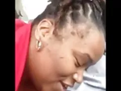 차량 및 씹는 스왈로우