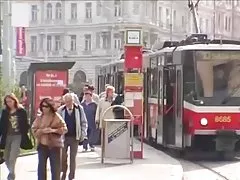 공단 블라우스 fivesome