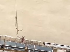 다시 깜박이 milf 이웃