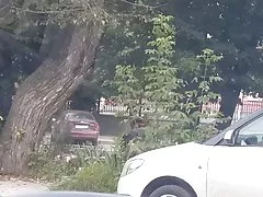 공공 라틴계 벤치를 타고!