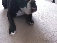 란제리 금발 큰 가슴 다 걸린된 남자