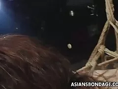 버릇없는 및 kinky bdsm 전을 위한 아시아 Sluts