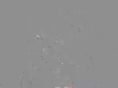 Marica Hase 의 친구로 우롱하 dick