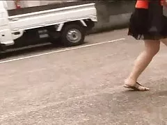 도둑질로서 식물체에 흰털이 배게 나있의 거리에서 도보 여자 2 입니다.