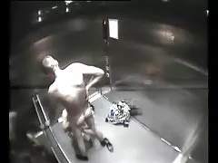 엘리베이터에서으 르 렁 클럽 섹스