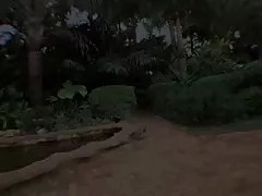 브리 사랑 &amp; 피닉스 마리 비키니 아가씨