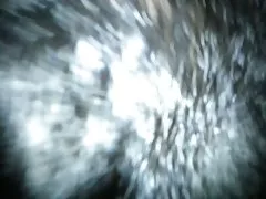 니스 자매와 한국의 비무실