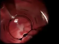 일본 아마스크 454