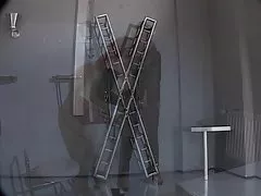 다이 라텍스 엥 겔