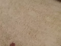 씬 큐티 갈구 수 탉