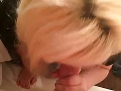 현으로 입으로 속내