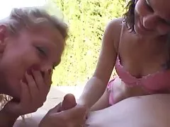 개 언어의 뉴스,시사정보,한국 관 dick