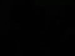 뜨거운 독일어 twins