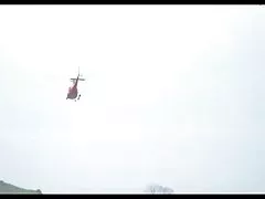 schwedinnen 아 데르 alm