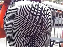 블랙 화이트 레 깅 스