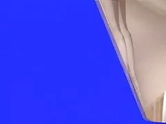 아시아 오리엔탈 플라워 시리즈,양 6