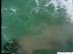 아라비안 나이츠