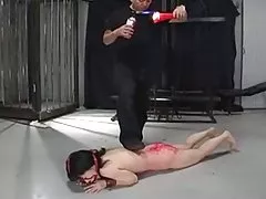 일본 비디오 431cm