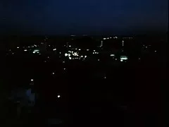 Ron Jeremy 비버 박 열풍