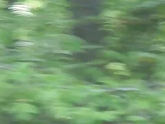 마당에이 틴 이웃의 엄마