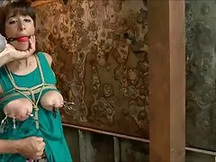 갈색 머리 묶어 2 조롱 하 고 vibed 1