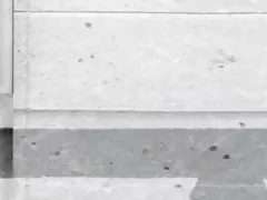 마리 로즈 바보 댄스