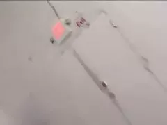 지배 아시아 놈 1