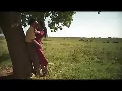 스리랑카 flying fish