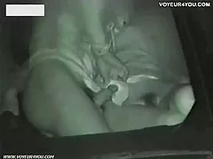 의 망가져서 자동차 seat