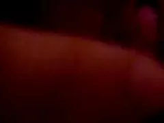 귀여운 털이 한국