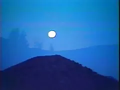 금 과실(1984),풀서 빈티지한 영화