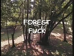 2Horny 들 섹 한 창녀